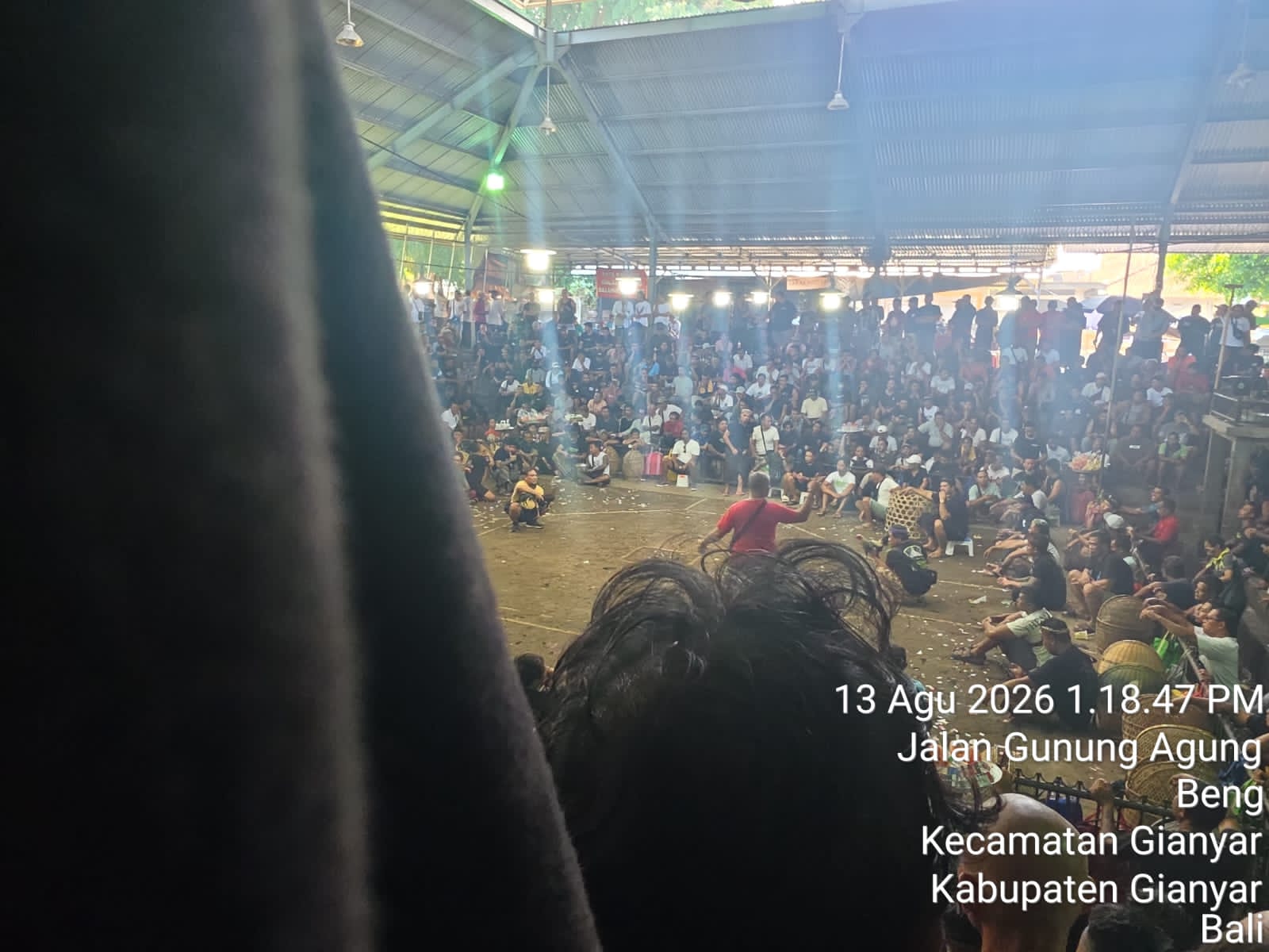 Arena Tajen Setra Beng Disorot, Ribuan Bebotoh Diduga Berjudi Dekat Polres Gianyar